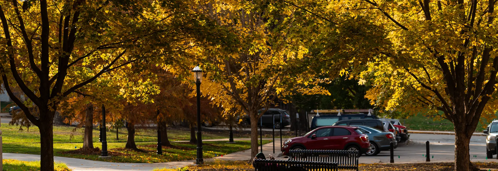 Fall scene on Mizzou campus
